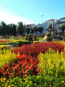 A beleza e o contraste de cores nos jardins de Braga